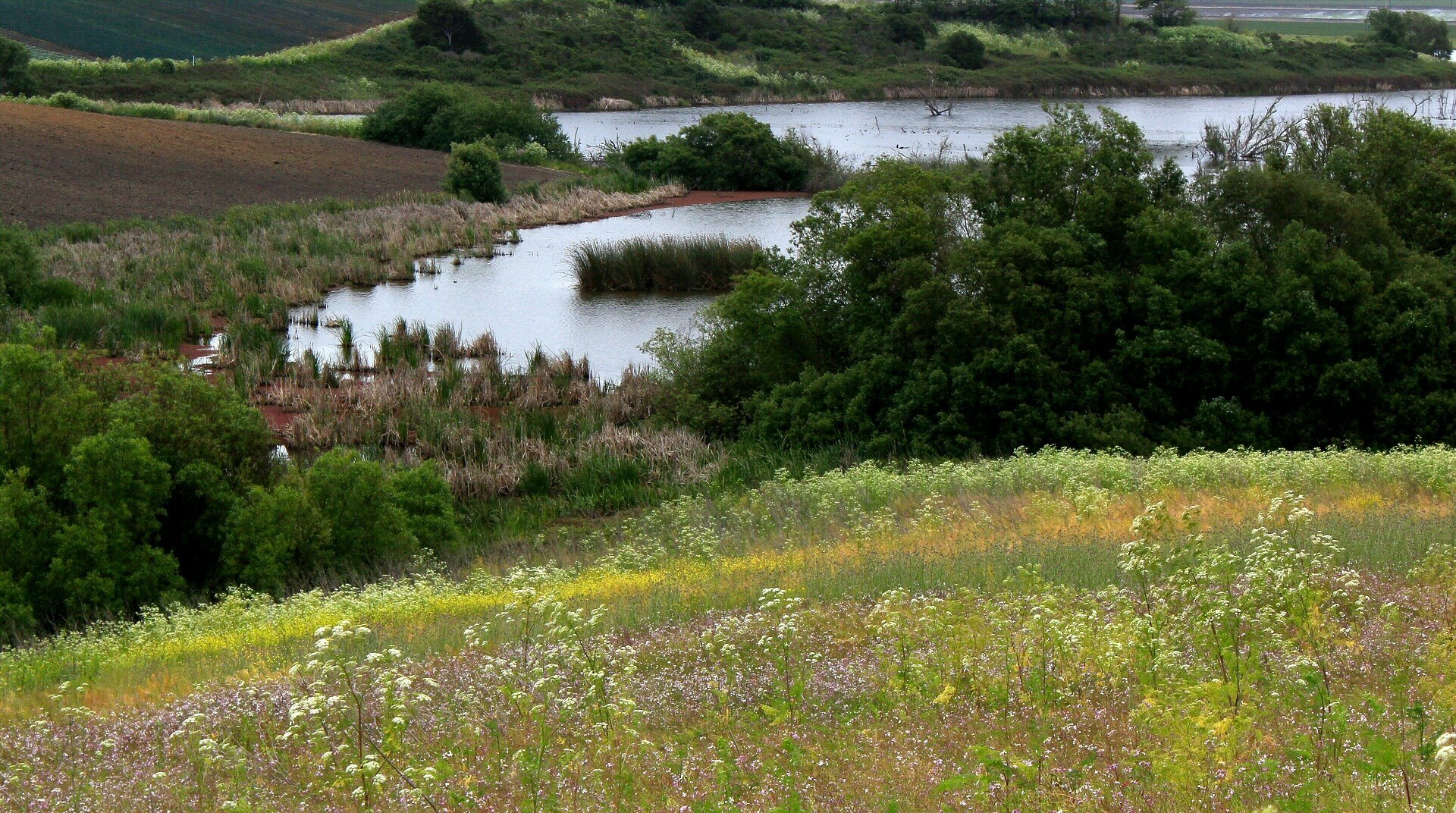 Watsonville Slough Farm Community Harvest Land Trust Santa Cruz