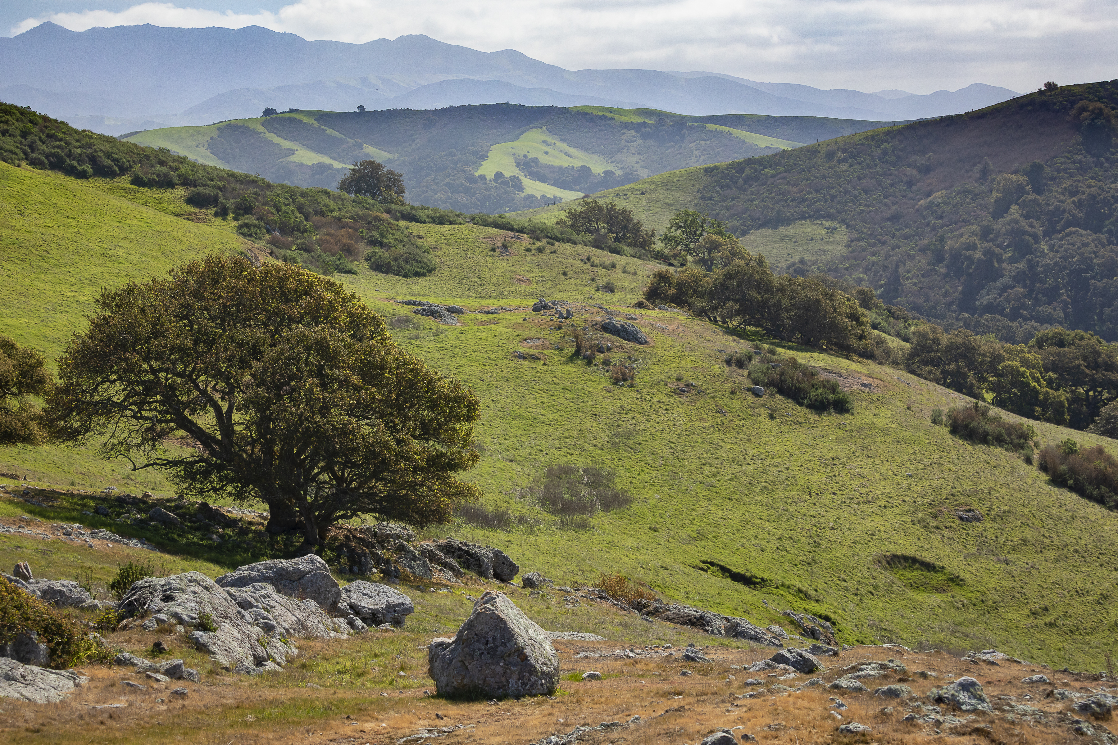 Donors + Grants = Success Land Trust Santa Cruz