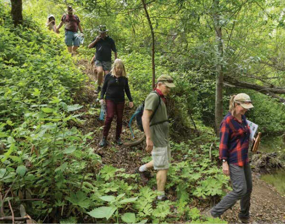 Project Updates – Fall 2018 | Land Trust Santa Cruz