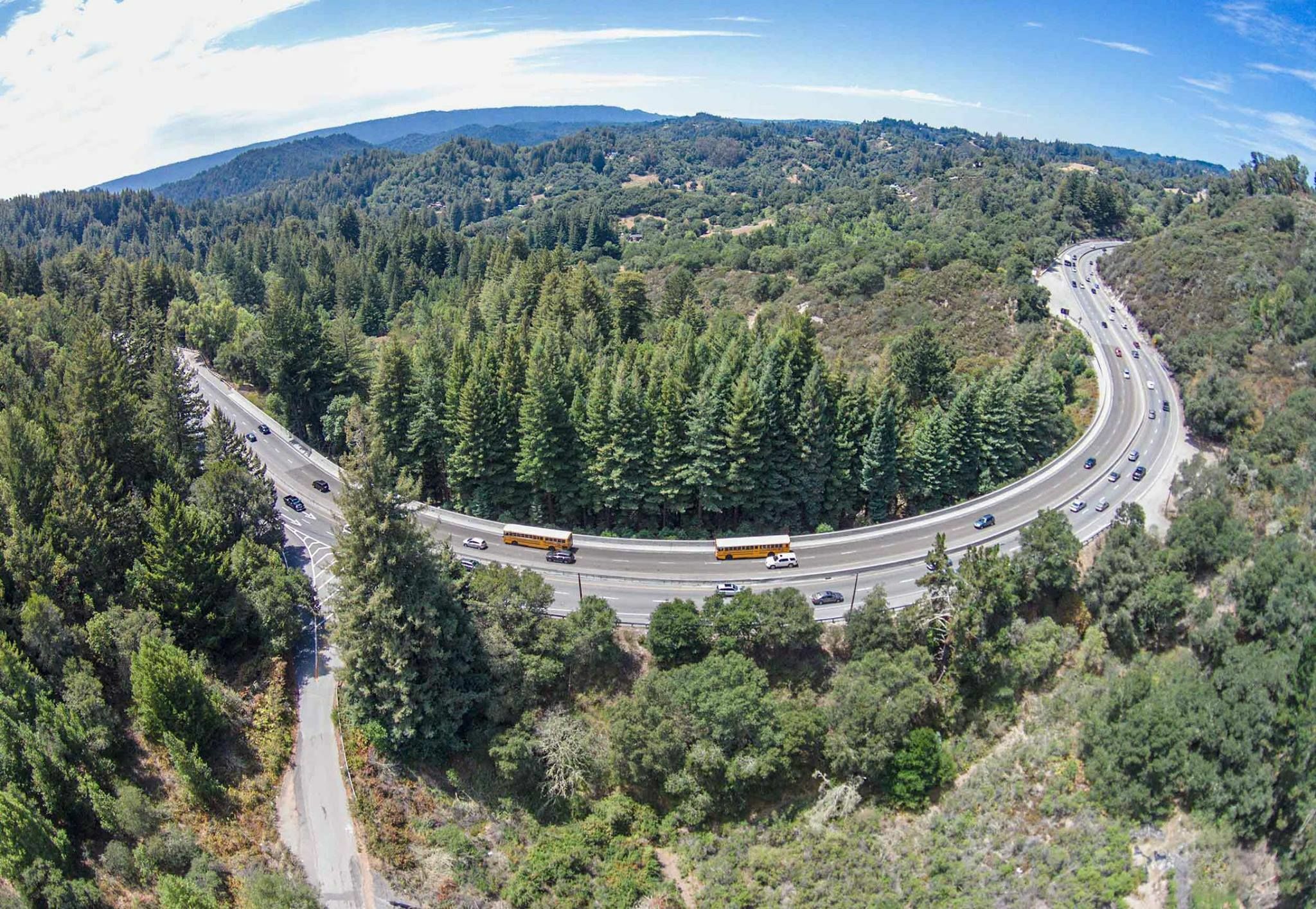 Highway 17 Wildlife Crossing Land Trust Santa Cruz